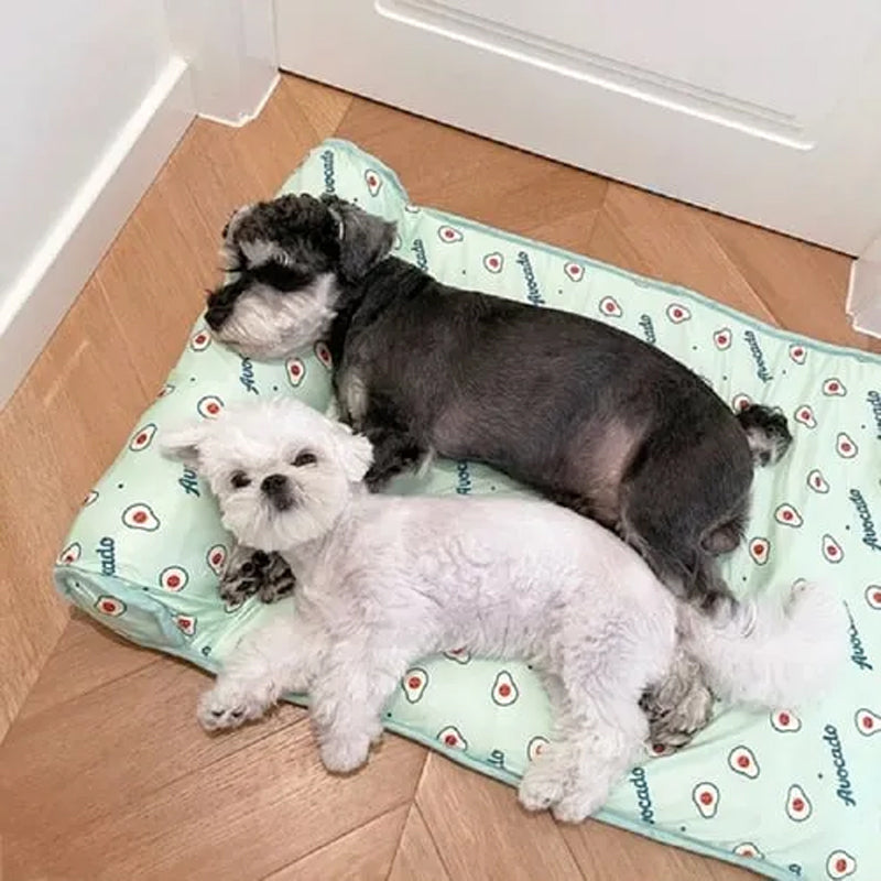 DogCatFri™ CoolMat: Koelmat Voor Honden En Katten