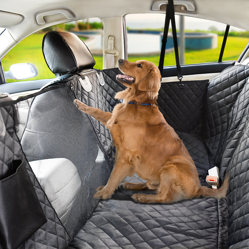 Auto Vriendelijke Huisdierbeschermingshoes | Inclusief Gratis Seat Belt T.W.V. €19,95