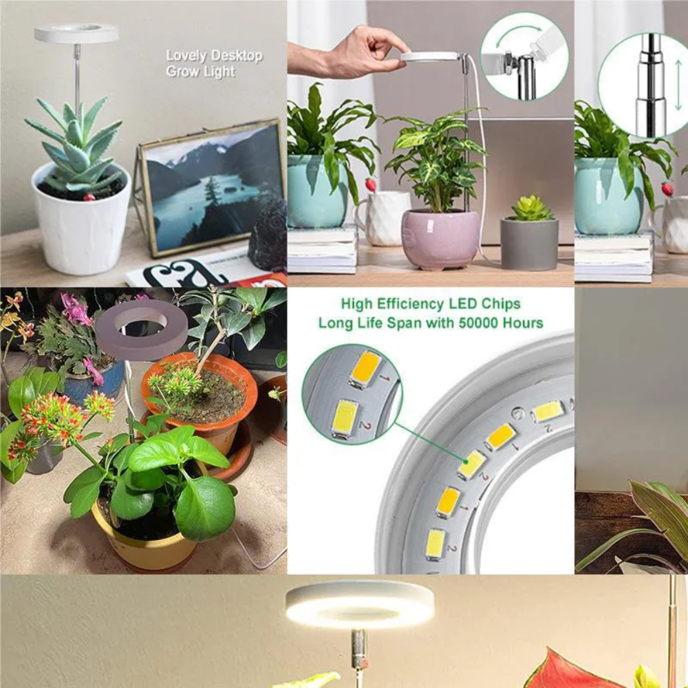 Ledsen™ PlantLamp: Verstelbaar Binnen LED Groeilamp Plant Lamp