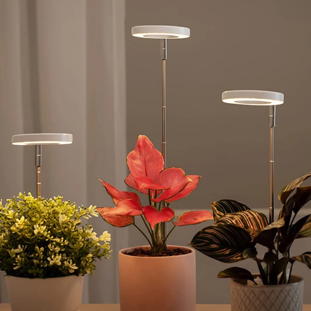 Ledsen™ PlantLamp: Verstelbaar Binnen LED Groeilamp Plant Lamp